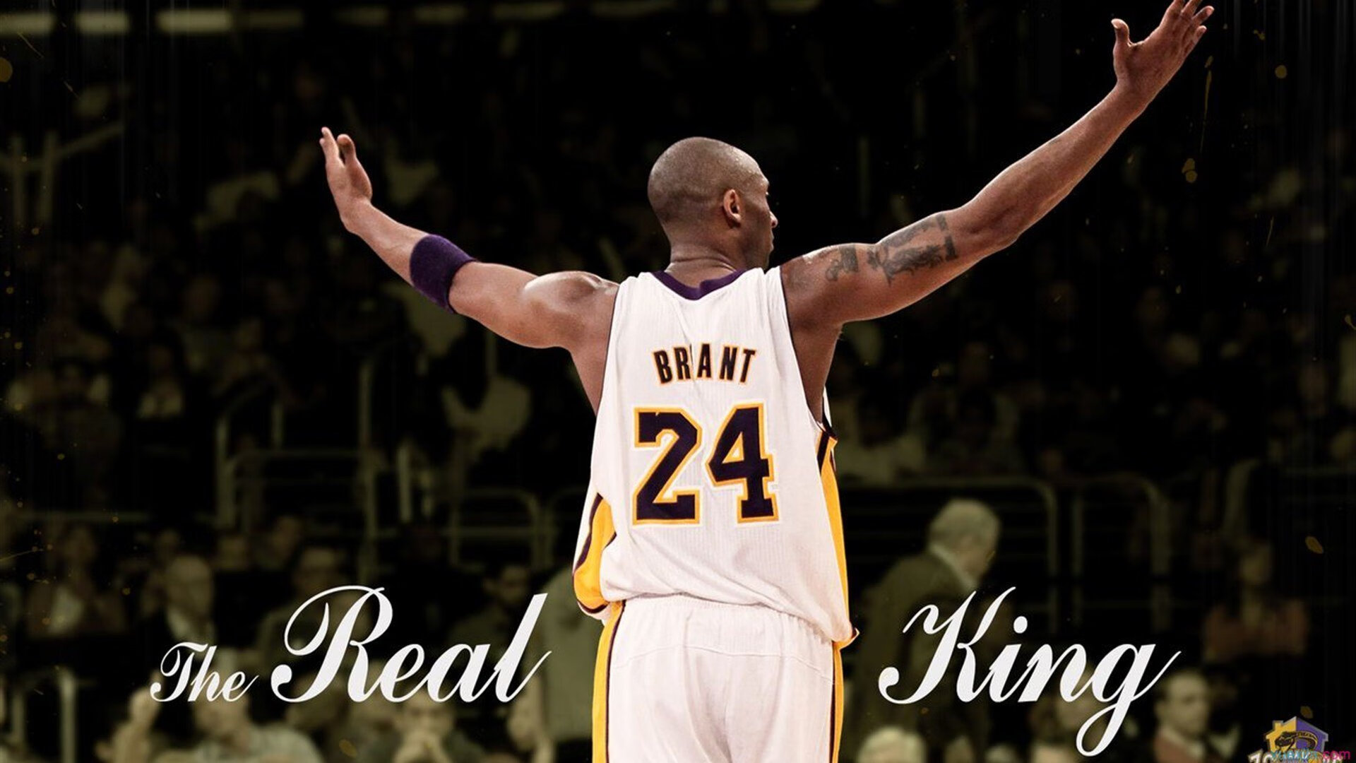 世界羽联年终总决赛国羽男双问鼎，世界羽联年终总决赛视频